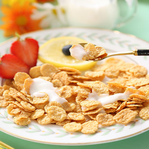 白俄罗斯vitba牌亚麻籽玉米片250g 商品图1