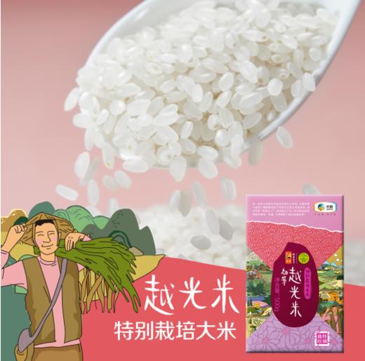【仅剩2份】中粮初萃特别栽培大米礼盒3kg 商品图2