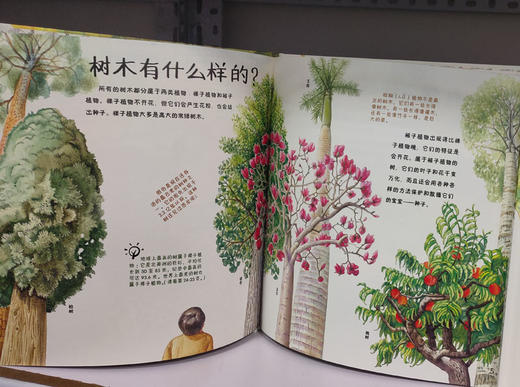 家门外的自然课—看！树木 商品图2