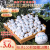 最后的库存！超微产区高端茶！2021年【高杆哆依树】挑采500年古树纯料！奇香！极甜！极稀缺！ 商品缩略图0