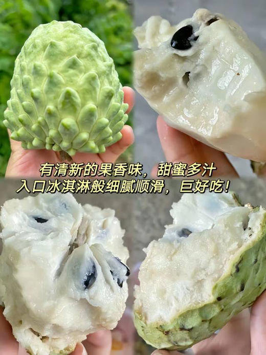 释迦果是世界上最甜的水果之一，像菠萝跟山竹的混合，清雅淡香，皮薄肉厚，爱吃甜的小伙伴绝对不能错过！果实成熟时平均糖度可高达20度以上，被称为嗜甜者的甜蜜选择！1斤/份，2个 商品图2