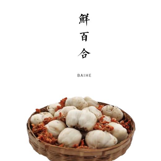 离太阳最近的鲜雪百合  香格里拉高山鲜百合 商品图0