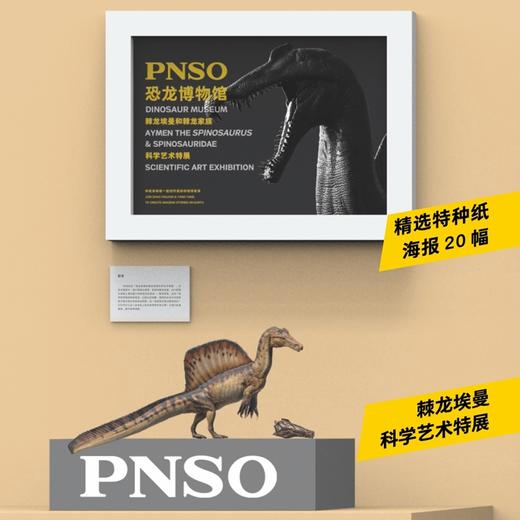 PNSO棘龙埃曼附棘龙头骨恐龙博物馆1:35科学艺术模型 商品图4