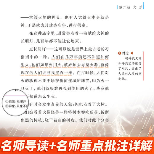 人类起源的演化过程 爷爷的爷爷哪里来 美绘版 商品图2