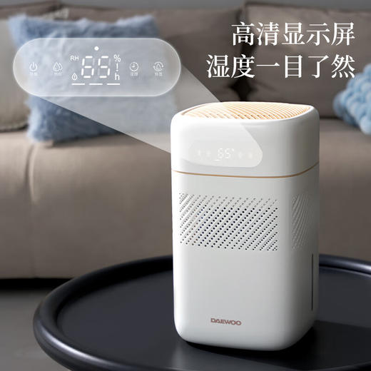 大宇（DAEWOO）无雾加湿器纯净型空气净化加湿器家用低噪客厅卧室孕妇婴儿大升数大加湿量 PH02 商品图4