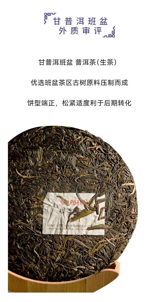 云南班盆古树饼茶（生茶）普洱生茶饼纯料古树300年树龄礼盒送礼 357g 1饼 商品图6