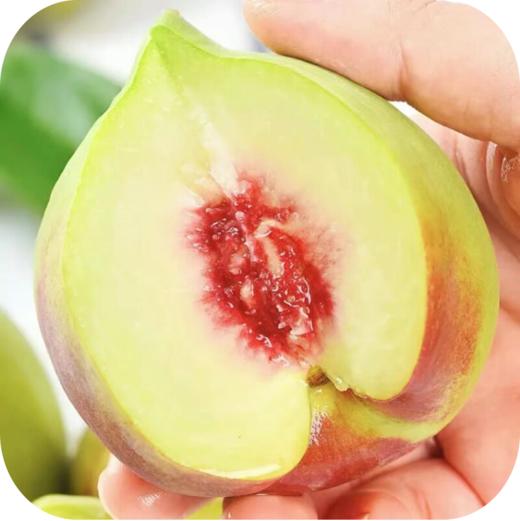 【千福现代生态农业观光园】展示券 商品图6