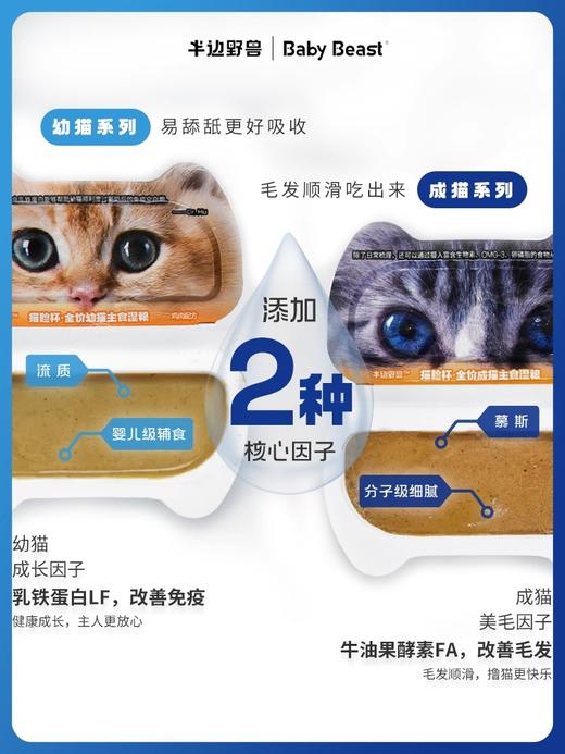 半边野兽主食餐盒猫脸杯 商品图2