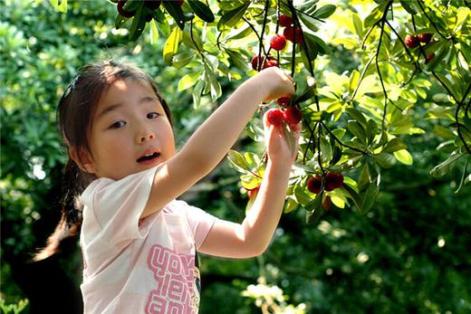 【千福现代生态农业观光园】展示券 商品图0