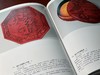 特价！！《中国漆器精华》，黄迪杞 戴光品 编著。16开，精装，带函套，274页，福建美术出版社2003年7月一版一印。定价298，售价128元。 商品缩略图9