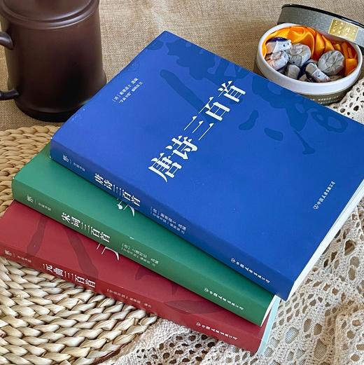 唐诗宋词元曲三百首（套装全3册）| 精编精校精注，古代诗词曲精华，中国传统文化经典 商品图2