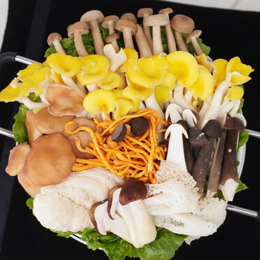 【云南鲜菌火锅宴】打边炉 菌火锅 炖汤鲜蘑菇野生菌牛肝菌 商品图4