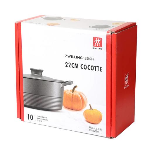 1020392 双立人Dragon 铸铁饭釜锅22厘米 奶油白 商品图3