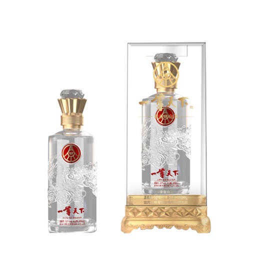 五粮液股份一尊天下尊酒 商品图0