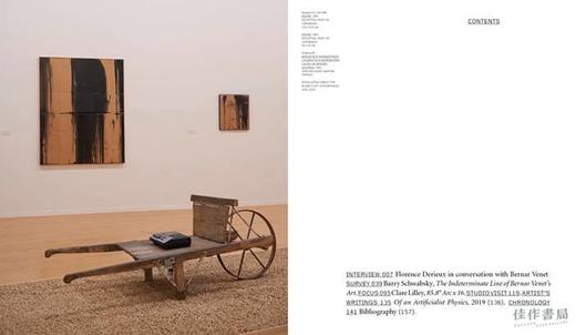 Bernar Venet (Phaidon Contemporary Artists Series) / 贝纳·维尼(费顿当代艺术家系列) 商品图3