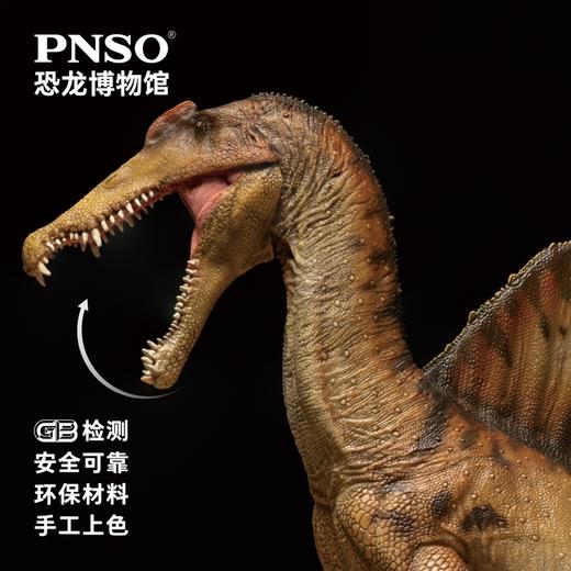 PNSO棘龙埃曼附棘龙头骨恐龙博物馆1:35科学艺术模型 商品图5