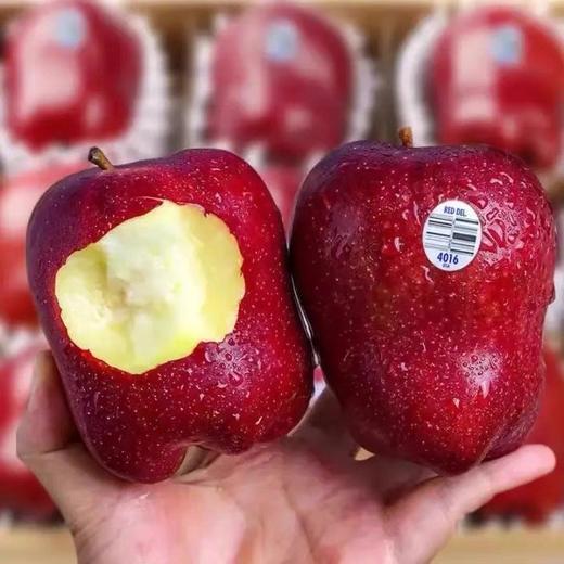 自带高光的美味【美国蛇果】来啦‼️ 商品图5