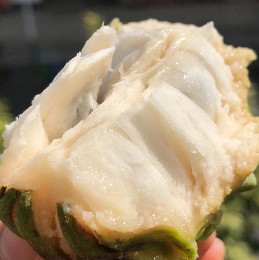 释迦果是世界上最甜的水果之一，像菠萝跟山竹的混合，清雅淡香，皮薄肉厚，爱吃甜的小伙伴绝对不能错过！果实成熟时平均糖度可高达20度以上，被称为嗜甜者的甜蜜选择！1斤/份，2个 商品图0