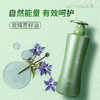 安利丝婷®净护调理二合一洗发露750ml 商品缩略图0