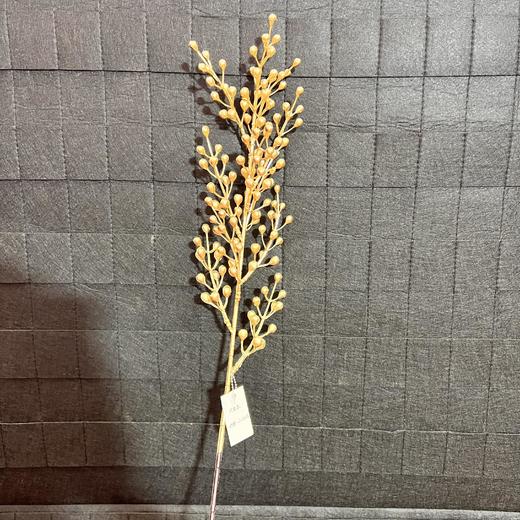 【琳琅】大金豆量大价更低，单价低至3.16 商品图2