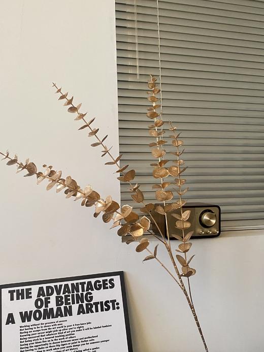 【琳琅】金色大枝尤加利 量大价更低，单价低至2.45 商品图1