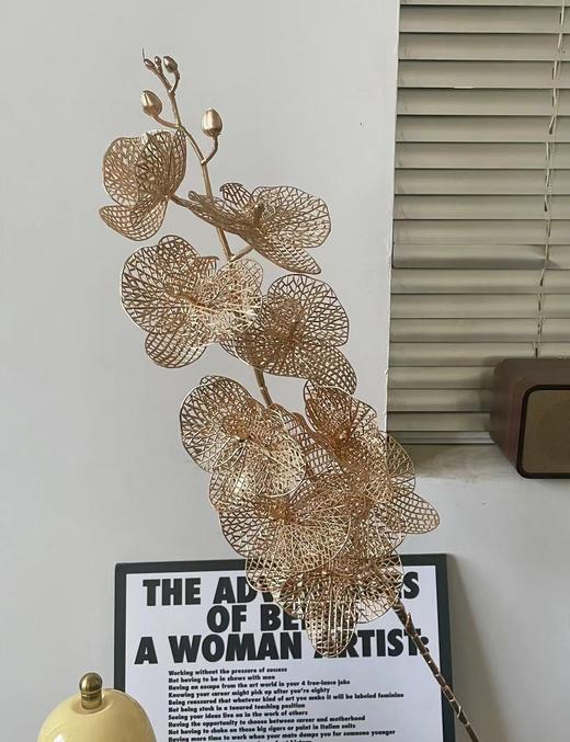 【琳琅】9头镂空蝴蝶兰 量大价更低，单价低至3.4 商品图2