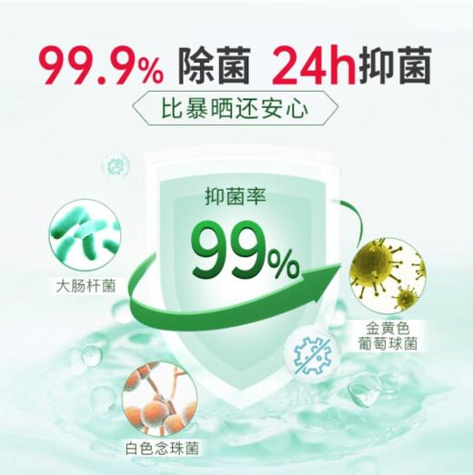 蔬果园青蒿除菌内衣洗衣液500g-3042 商品图3