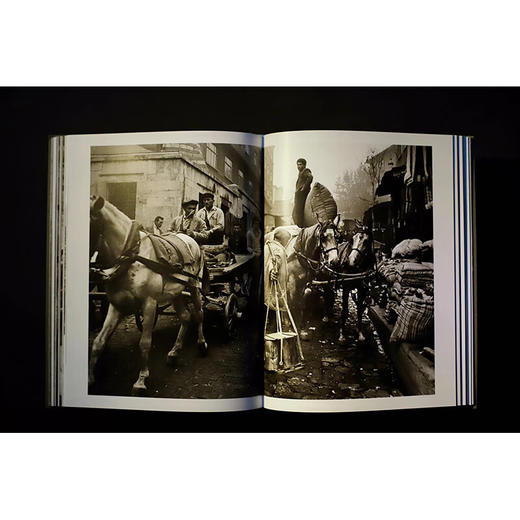 阿拉·古勒的伊斯坦布尔 商品图5