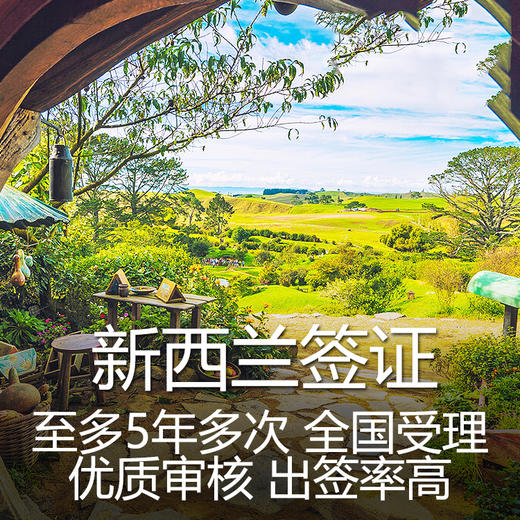 新西兰个人旅游签证 电子签 商品图0