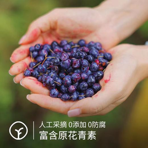 【斌哥优选】 蓝莓原浆，一袋70-100颗野生蓝莓，不加一滴水。爱自己的眼睛。 商品图2