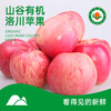 【有机洛川苹果】来自苹果之乡洛川、脆甜多汁、有机种植、营养健康。 商品缩略图0