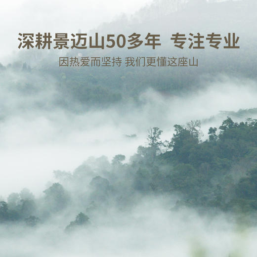 【上市狂欢年货节】澜沧古茶2022年001鉴赏装84g+景迈春香大饼357g+兰蜜丹珠64g生茶大礼包 商品图4