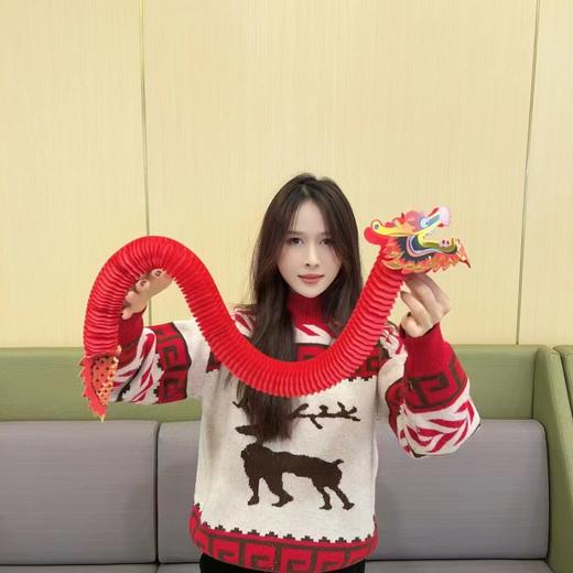 盘龙红色/行运一条龙 商品图3