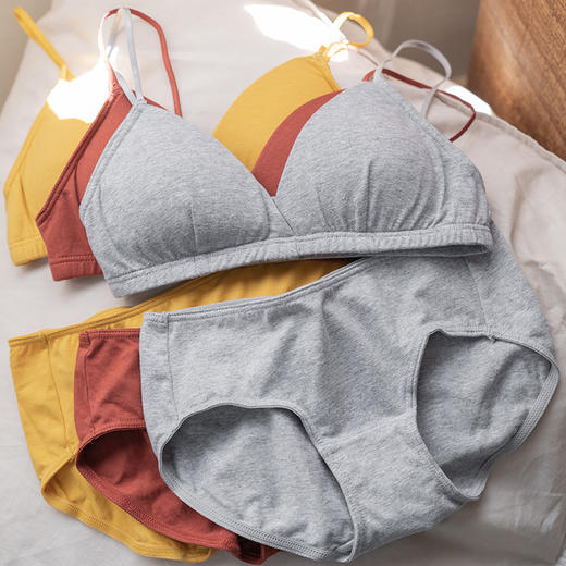 靴下物内衣女夏天薄款棉法式三角杯文胸内裤套装纯棉底裆亲肤舒适 商品图2