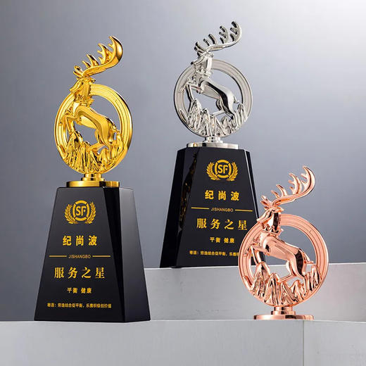 新款金属水晶奖杯定制年会优秀员工颁奖创意金银铜订制周年纪念品 · 款式1 商品图1