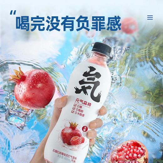 元气森林 石榴红树莓味苏打气泡水 480ml/瓶 商品图2