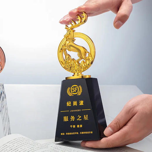 新款金属水晶奖杯定制年会优秀员工颁奖创意金银铜订制周年纪念品 · 款式1 商品图3