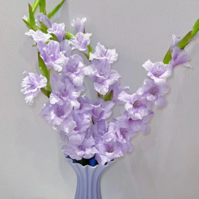 剑兰 香芋紫色 10支/扎 以实物为准 云南基地发货（价格已包含包装费用） 运费以实际为准，多退少补。）