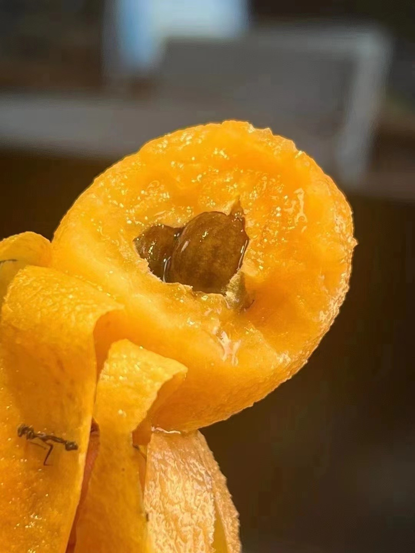 云南✈️高山枇杷-空运时效，鲜嫩清甜，水份足，雾霾天必备水果之一