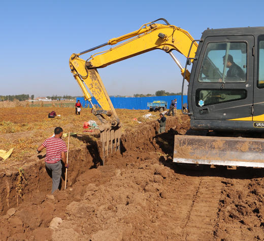 山药哥焦作铁棍山药家庭装4.5斤  当季现挖现发 药食同源  口感软糯 久煮不散（鲜山药偶尔会有断裂破损，介意勿拍） 商品图3