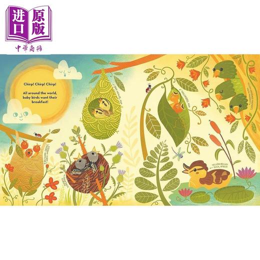 【中商原版】Rachel Ignotofsky 2册 鸟巢的构造 花儿里的东西 英文原版 儿童科普绘本图画书 精装进口童书4-7岁 Whats Inside 商品图1