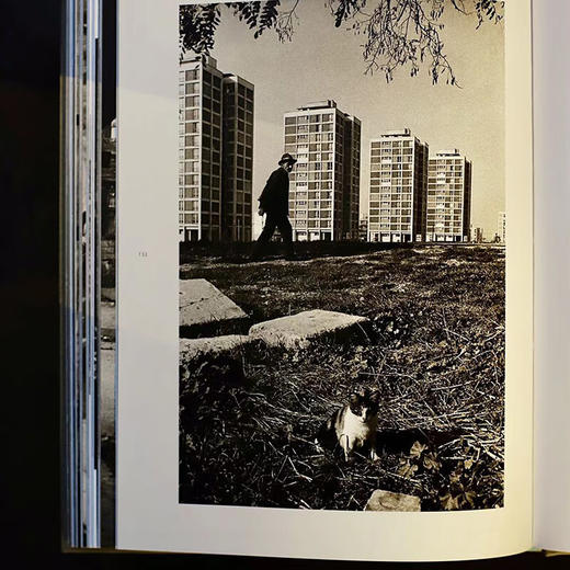 阿拉·古勒的伊斯坦布尔 商品图4