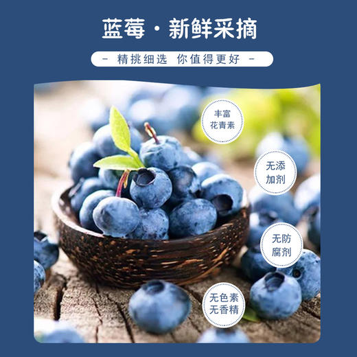 天锦 蓝莓果干100g 商品图1