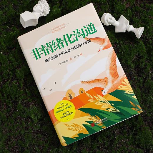 非情绪化沟通 商品图3