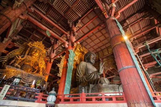 京都出发 京都-奈良 半日 黄金路线 巴士之旅【需二次确认】B-0048 商品图0