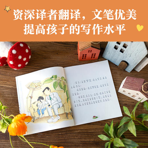 小小灯塔国际大奖小说（全6册）第三辑 商品图5