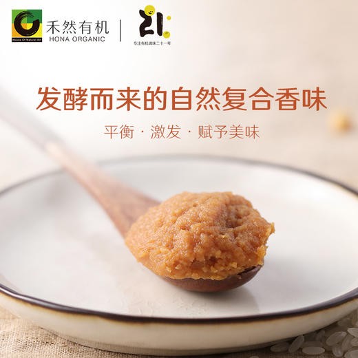 禾然有机赤味噌300g 商品图1