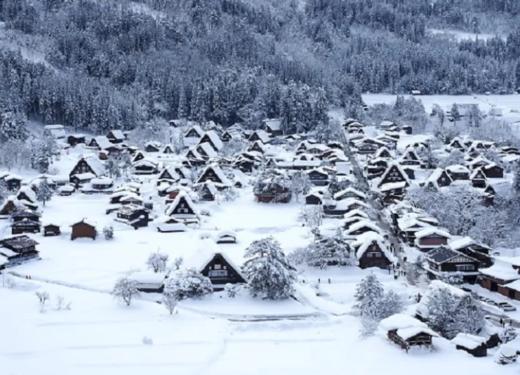 名古屋出发白川乡+高山一日游【需二次确认】B-0051 商品图4