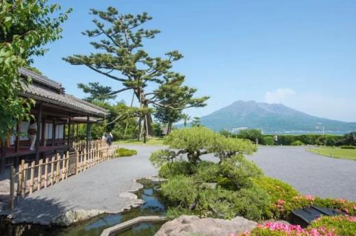 鹿儿岛中央车站出发鹿儿岛半日旅游【需二次确认】 B-0056 商品图3