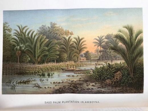 1888年 我们的地球与它的故事（卷2） 百余幅插图（含多幅套色版画） 漆布精装16开 商品图7